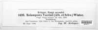 Melampsora vaccinii image